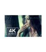 Corel WinDVD Pro 12 – Blu-ray & DVD software for Windows - Image 2