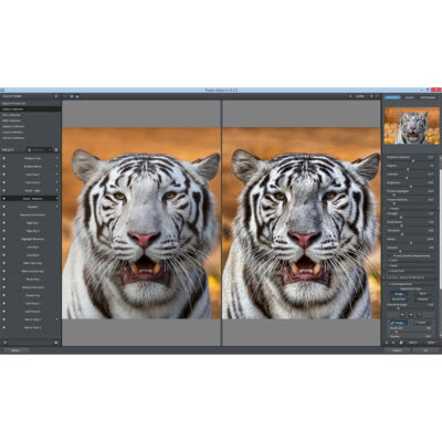 Topazlabs – Topaz Video Enhance AI 1 1 1