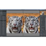 Topazlabs – Topaz Video Enhance AI – Improve video upscaling, denoising, deinterlacing, and restoration – Windows