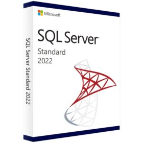Microsoft SQL Server 2022 Standard License