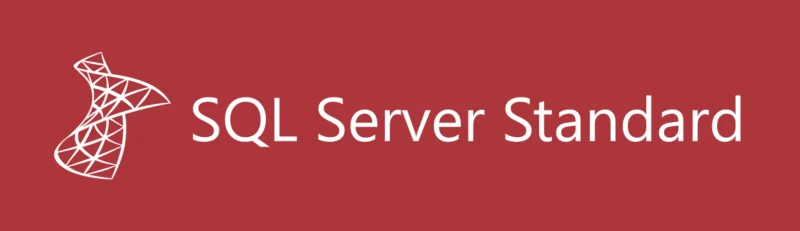 sql server standard 1