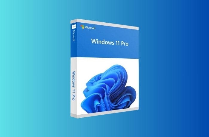 win 11 promo